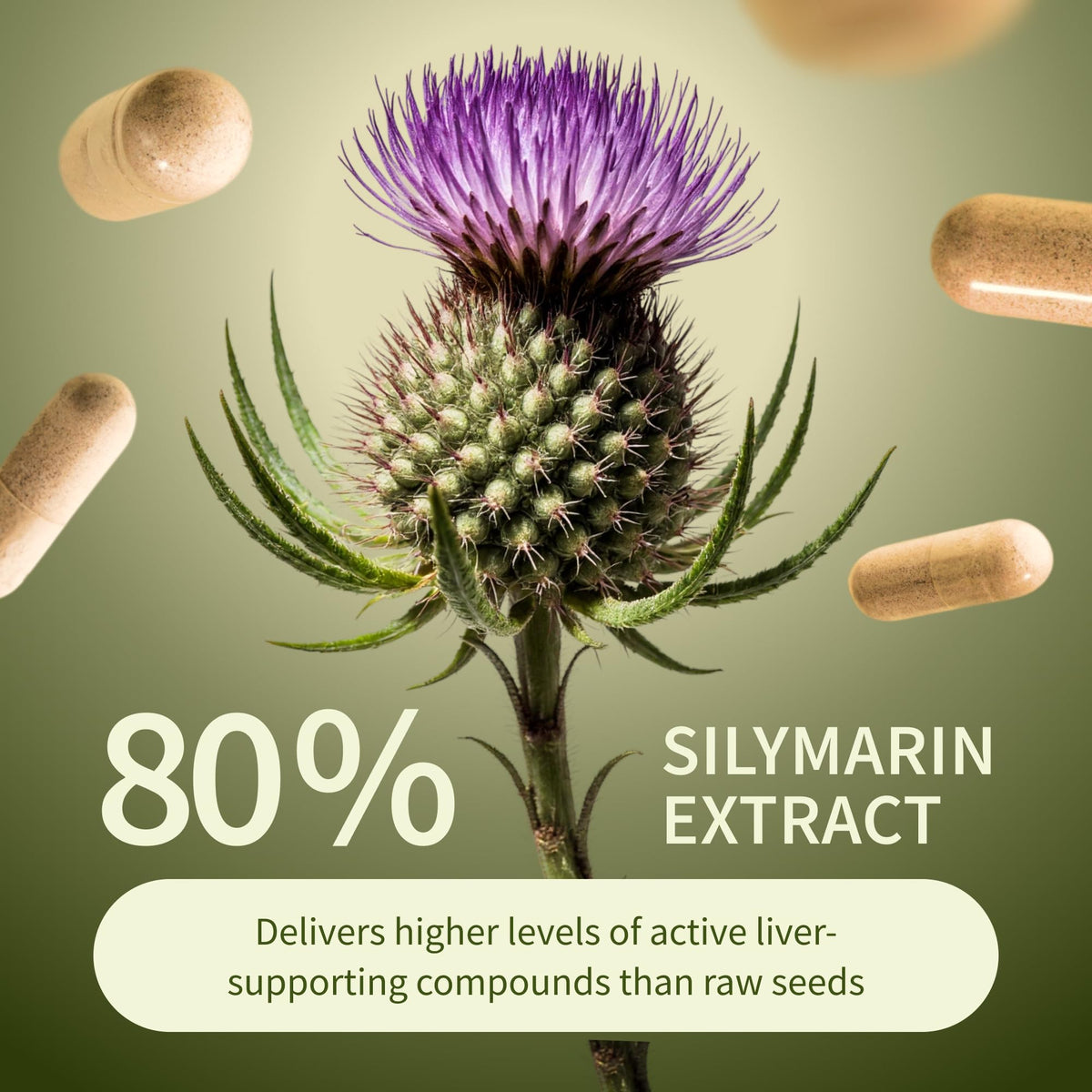 Snap Supplements Milk Thistle Silymarin Liver Support - 60 Capsules - image 4