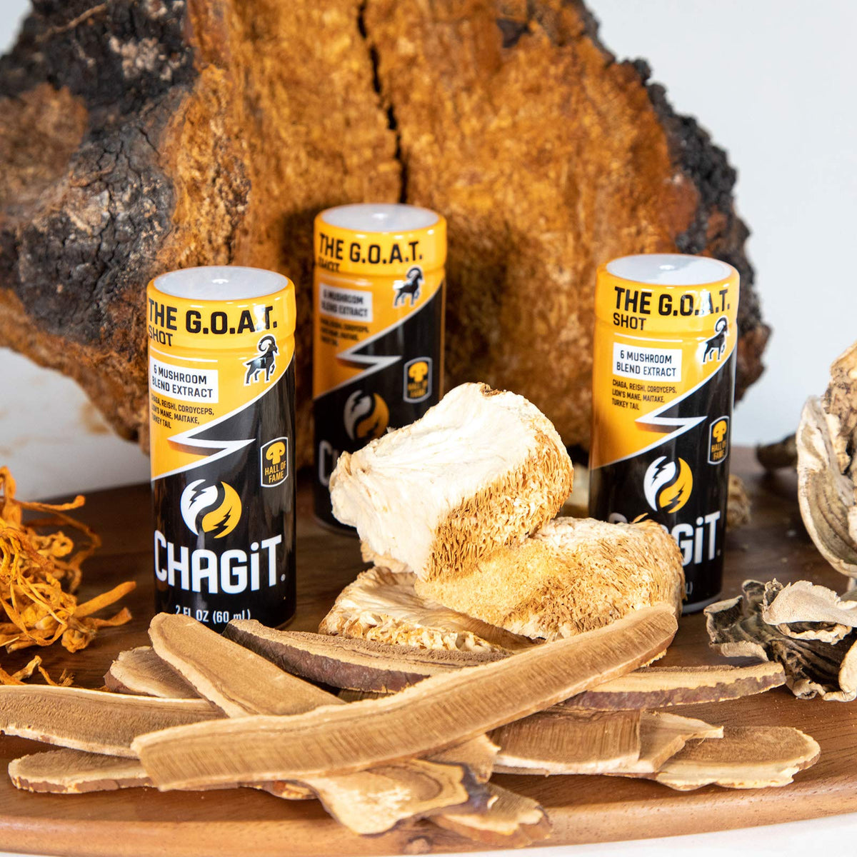 Chagit The G.O.A.T. Shot Functional Mushroom Liquid - 30 Fl Oz - image 5
