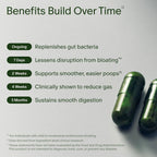 Seed DS-01 Daily Synbiotic - Prebiotic and Probiotic for Women & Men