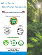 One Planet Nutrition Nano Energy 500 mg - 120 Vegetarian Capsules - image 6