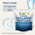 ANDREW LESSMAN Marine Collagen Peptides Powder and MSM Servings