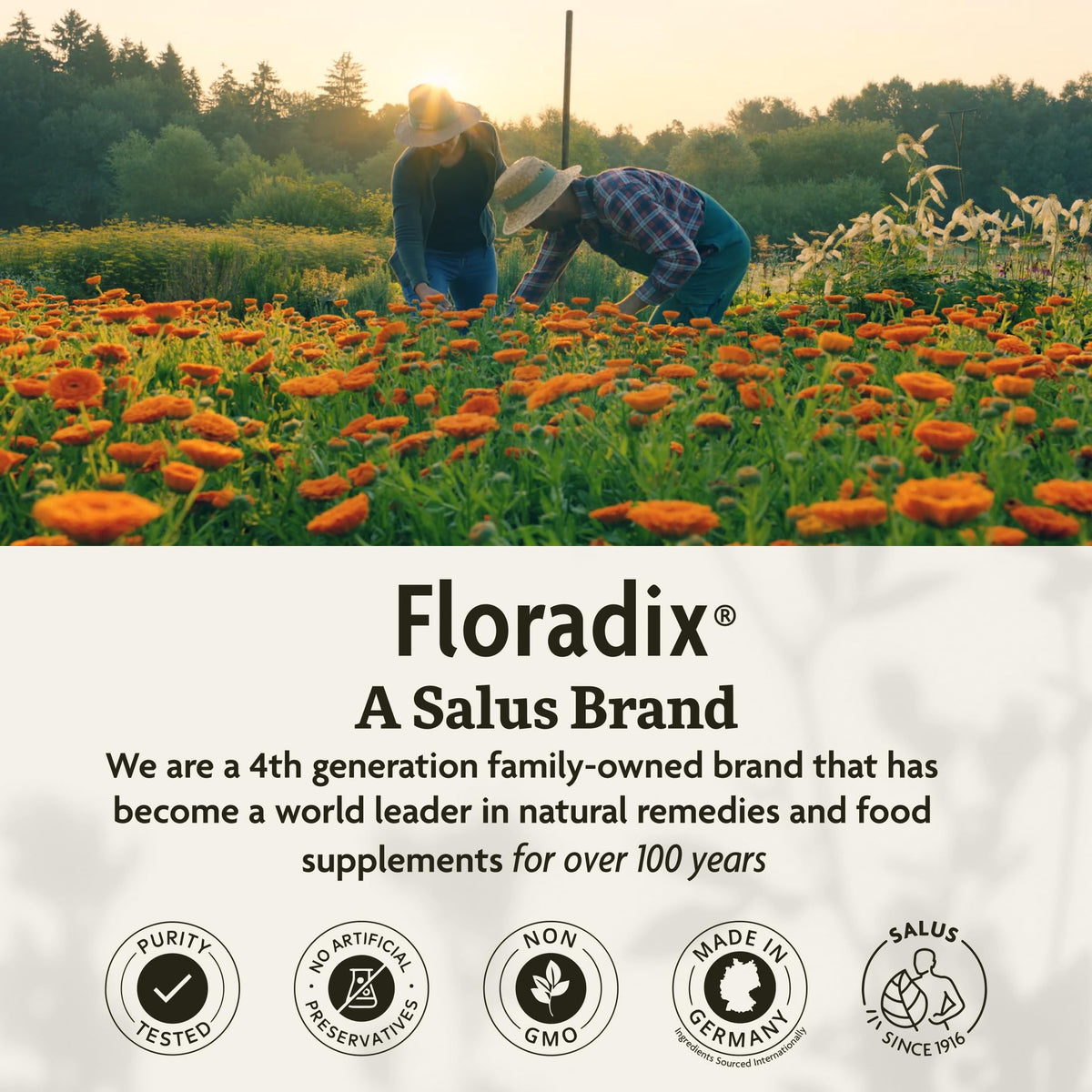 Floradix Calcium Liquid Supplement Vegan - 8.5 fl oz - image 7