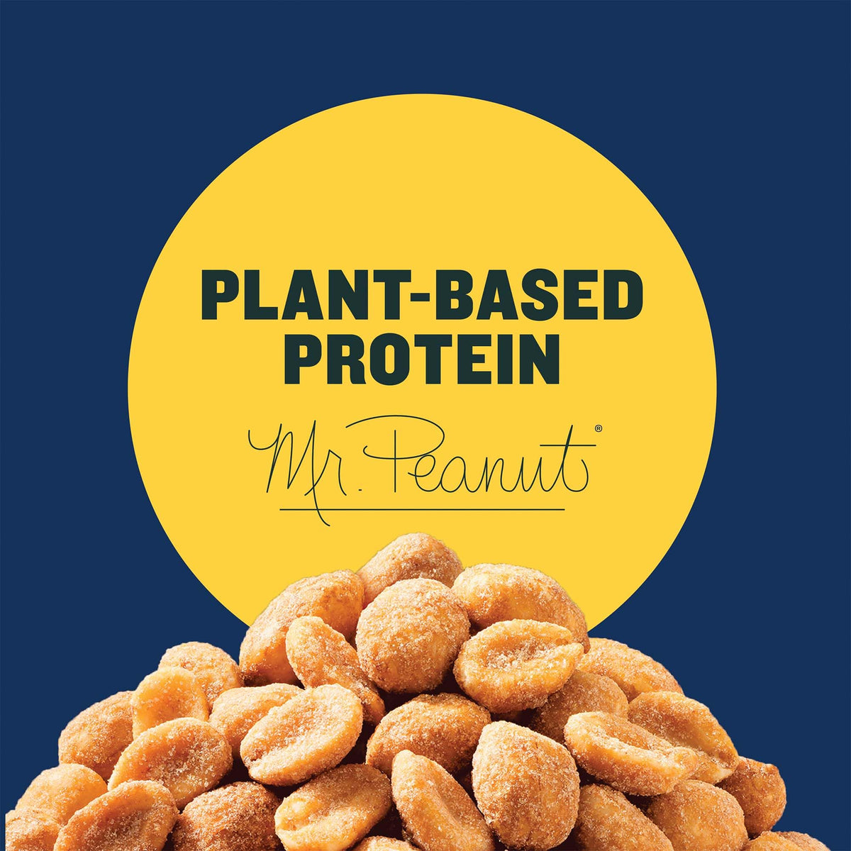 PLANTERS Salted Caramel Peanuts Plant Based Protein Snack - 8 Pack - image 4