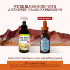 Herbs Etc. Deep Sleep Classic Liquid Extract Sleep Support - 4 fl oz - image 2