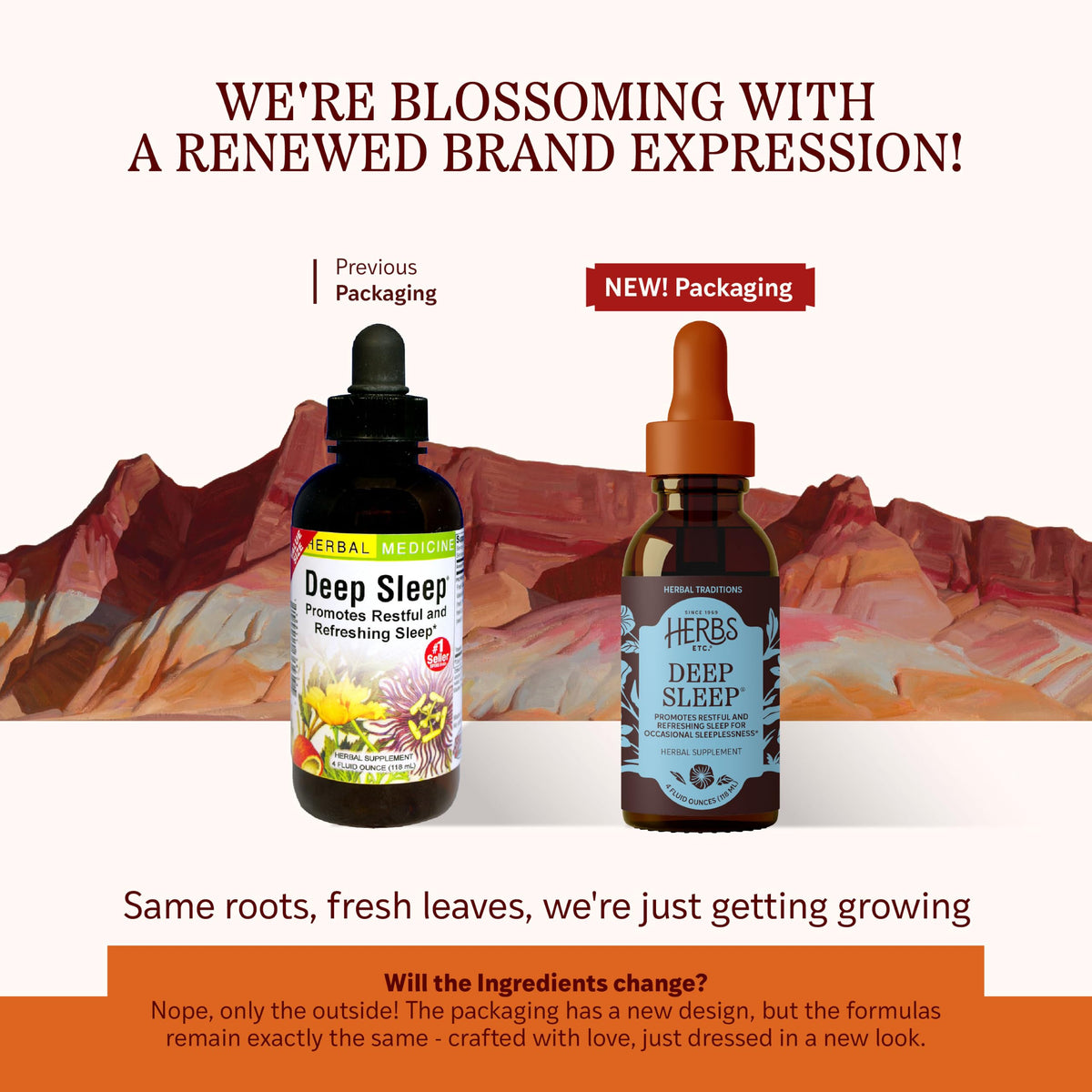 Herbs Etc. Deep Sleep Classic Liquid Extract Sleep Support - 4 fl oz - image 2