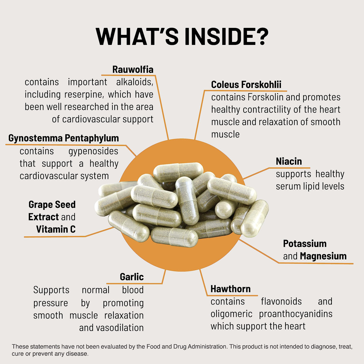 Mountain Peak Nutritionals HTN Support Supplement for Heart