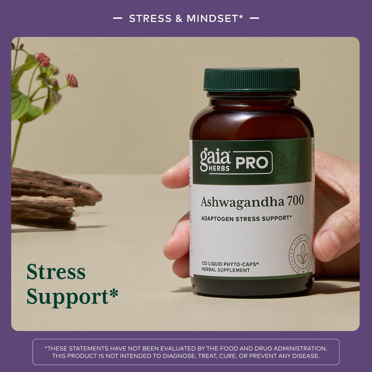 Gaia Herbs PRO Ashwagandha 700 Sleep & Energy Support - 120 Vegan Capsules - image 3