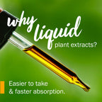 Herb Pharm California Poppy Liquid Extract for Calming - 4 Fl Oz - image 4