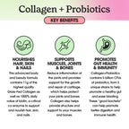 Fit & Lean Collagen + Probiotics Peptide Powder - 30 Servings - image 5
