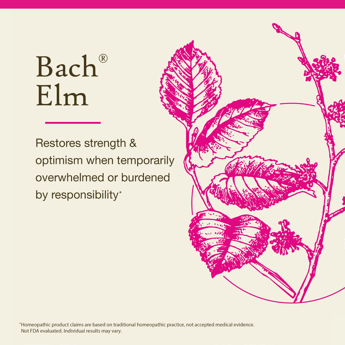 Bach Flower Remedies Elm - Be Efficient - 20mL Dropper - image 3