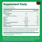 The Feel Great Vitamin Company Super Green Gummies for Teens - 60 Gummies - image 5