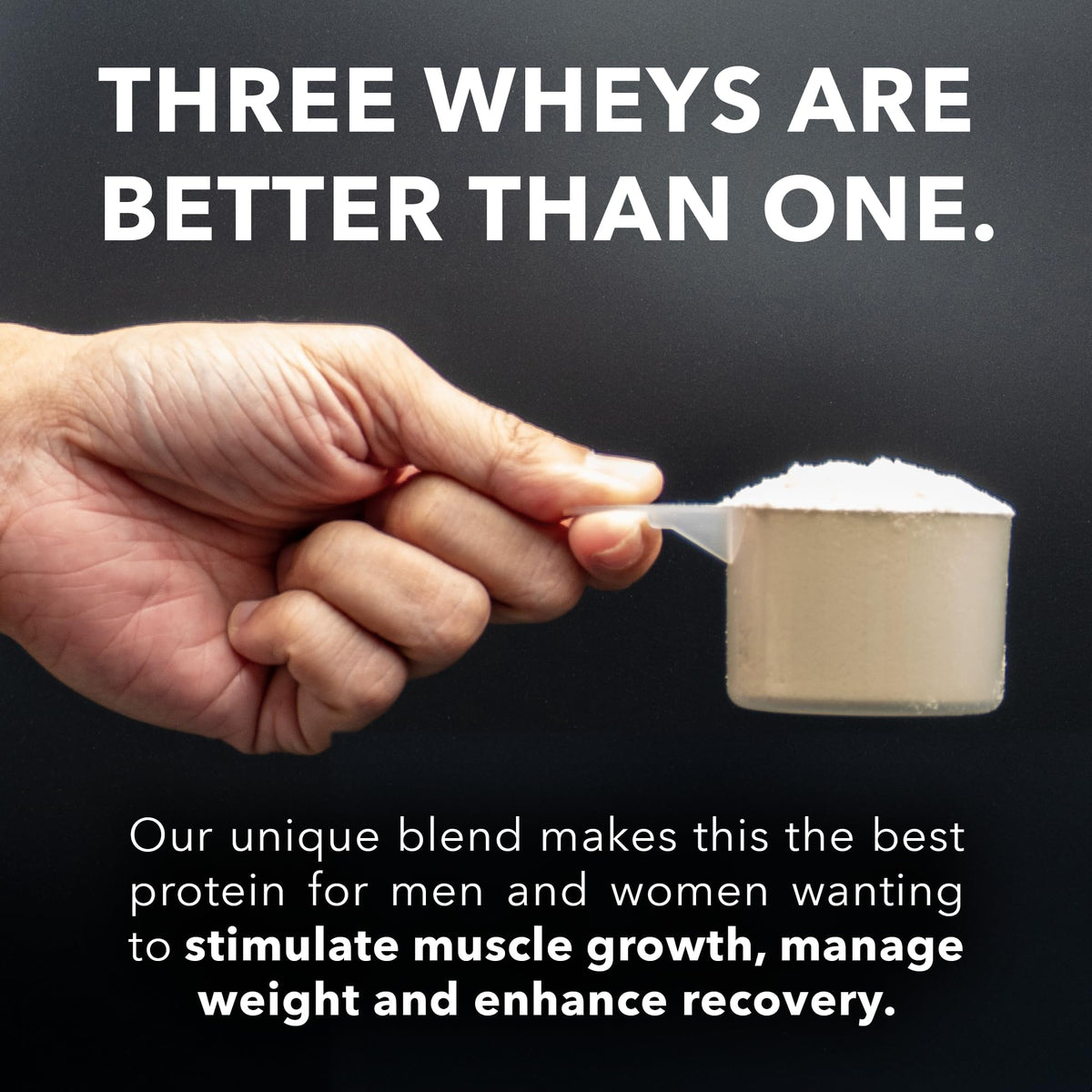 Fantastic Nutrition 3-in-1 Whey Protein Powder Blend