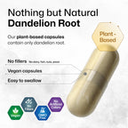 BIO KRAUTER Dandelion Root Extract Liver & Kidney Support - 100 Capsules - image 4