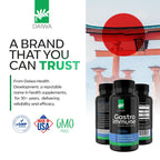 Daiwa - Gut Health and Immunity Supplement - Non-GMO