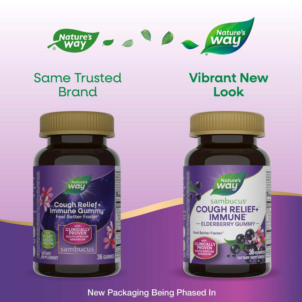 Nature's Way Sambucus Cough Relief Elderberry Gummy - 36 Gummies - image 2