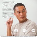 BIG BOLD HEALTH HTB Immune Rejuvenate Polyphenols - 120 Vegetarian Capsules - image 4