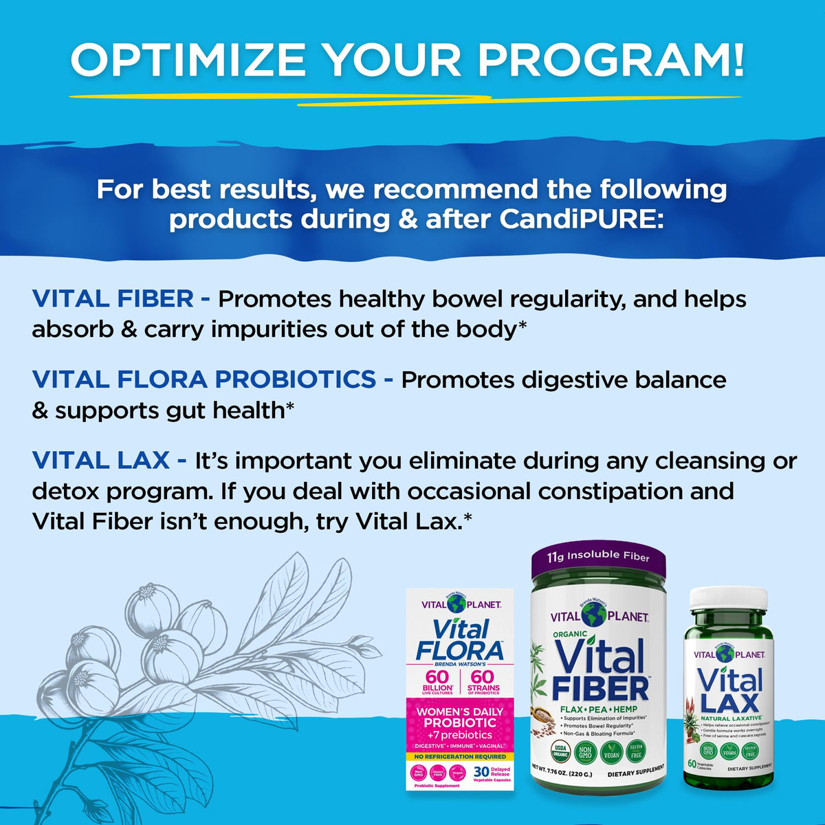 Vital Planet Vital CandiPURE Intestinal Cleanse - 14 Day Kit - image 5