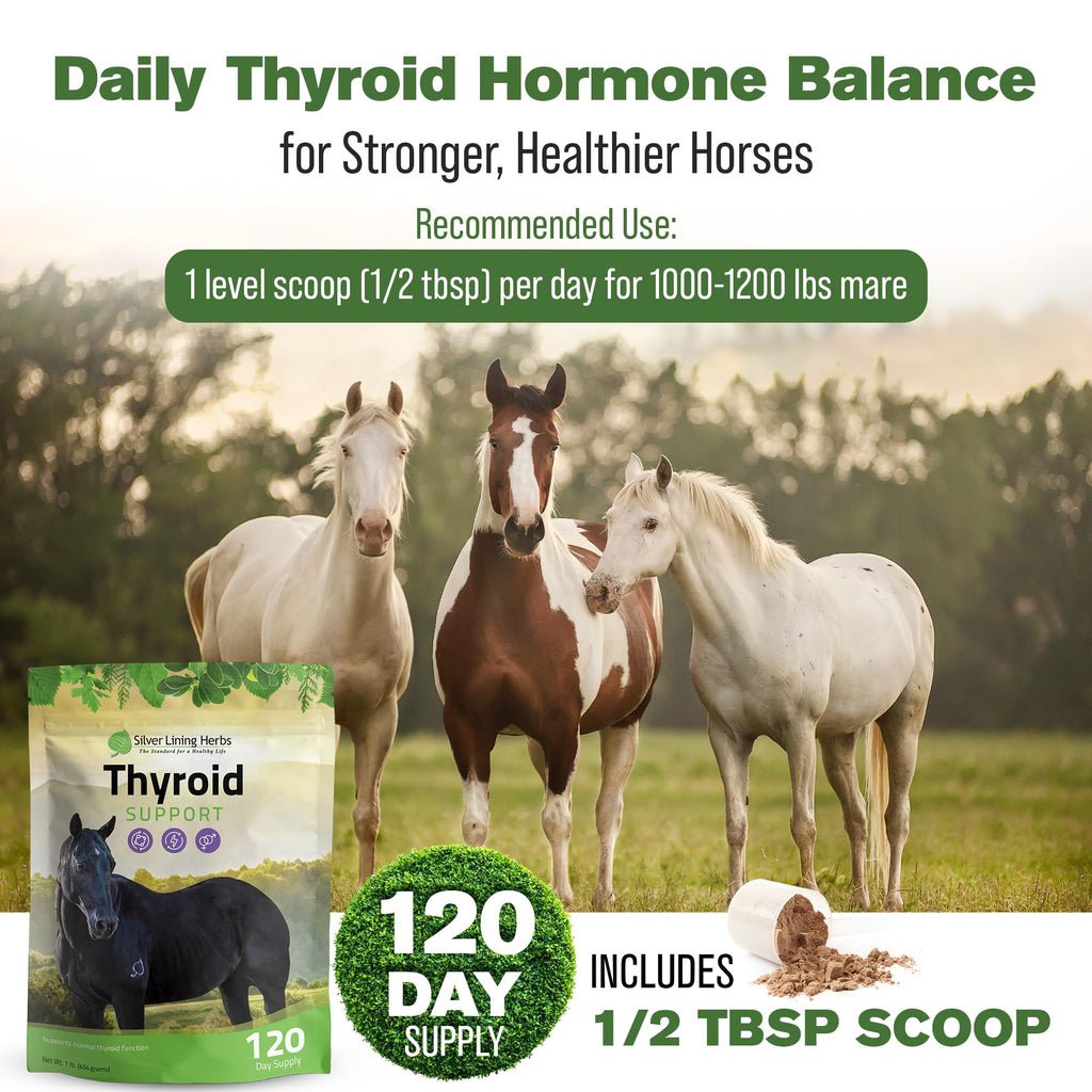 Silver Lining Herbs Thyroid Support for Horses - 1 Pound - image 4
