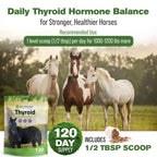 Silver Lining Herbs Thyroid Support for Horses - 1 Pound - image 4