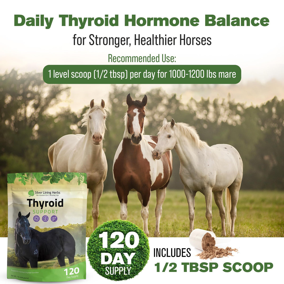 Silver Lining Herbs Thyroid Support for Horses - 1 Pound - image 4