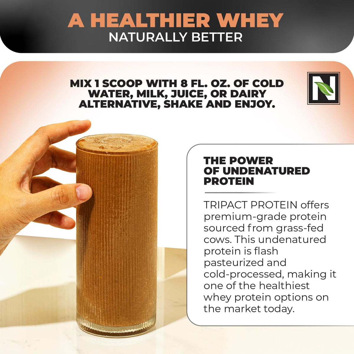 Nutrology TRIPACT Protein Powder - 7-in-1 Meal Replacement Shake