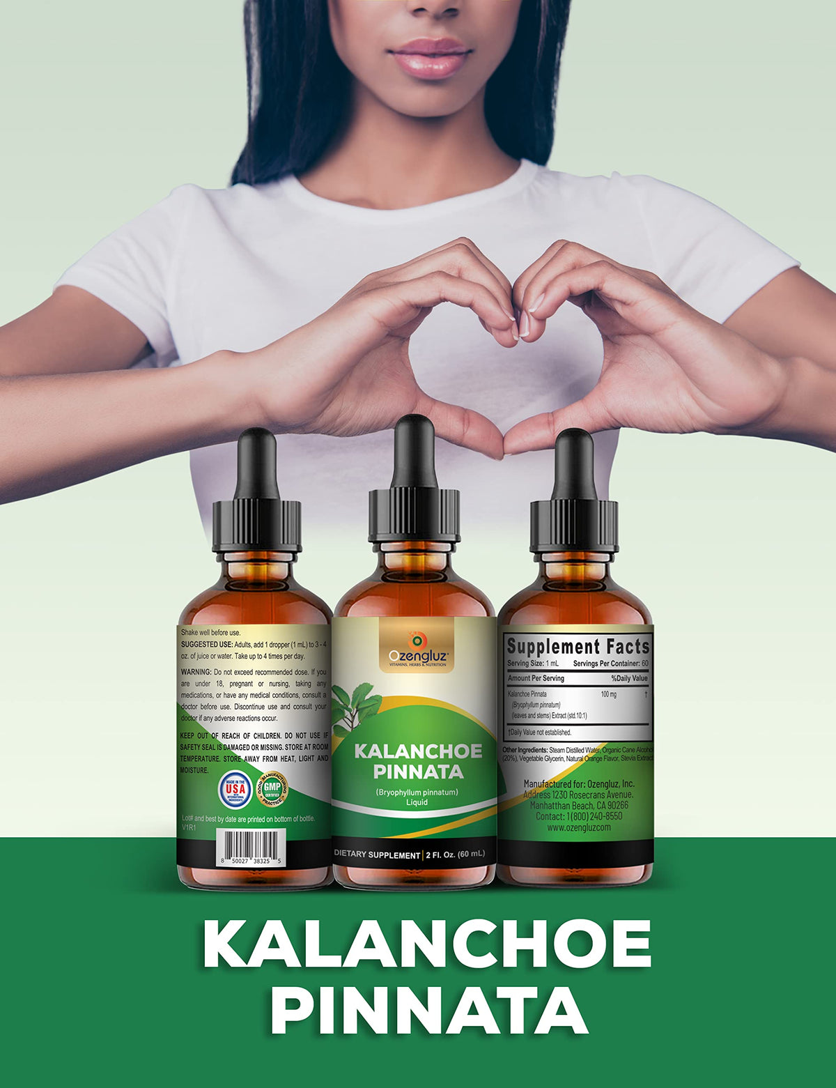Ozengluz Kalanchoe Pinnata Herbal Supplement Liquid Extract - 2 Fl Oz - image 2