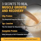 RISE311 Plant-Based Protein