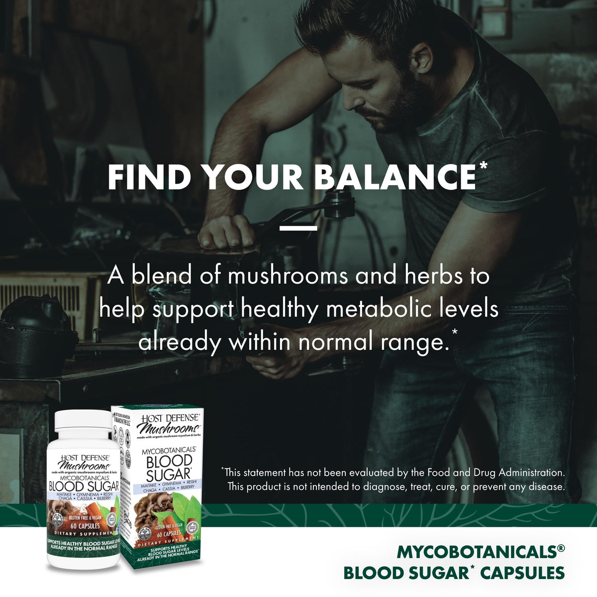 Host Defense MycoBotanicals Mushroom Supplement - 60 Capsules - image 5