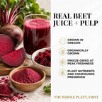 Eclectic Herb Organic Beet Juice Capsules for Energy - 90 Capsules - image 5
