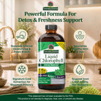Nature's Answer Liquid Chlorophyll 100 mg - 16 fl oz - image 2