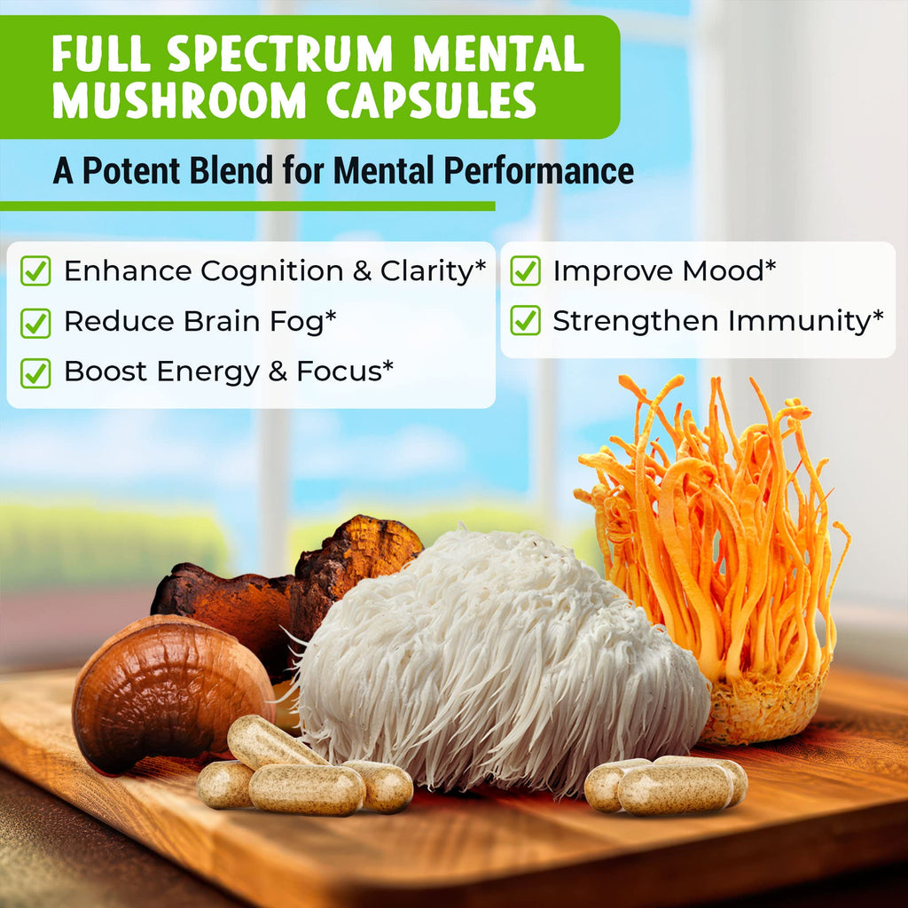 Maju Superfoods MENTAL Mushroom Capsules Organic Extract - 90 Count - image 2