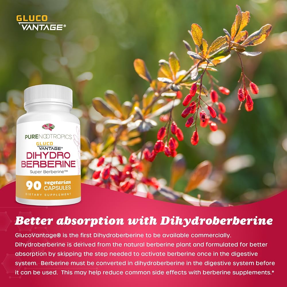 Pure Nootropics Dihydroberberine GlucoVantage 100 mg - 90 Capsules - image 4