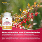 Pure Nootropics Dihydroberberine GlucoVantage 100 mg - 90 Capsules - image 4