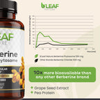 B'Leaf Nature Berberine Phytosome 1100mg - 120 Capsules - image 5
