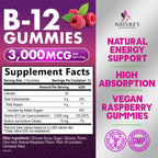 Nature's Nutrition B12 Energy Gummies 3000 mcg per Serving - Extra