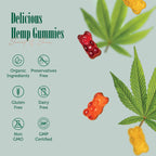 Greenland Fields Organic Hemp Chewy Bears 5000MG - 60 Gummies - image 4