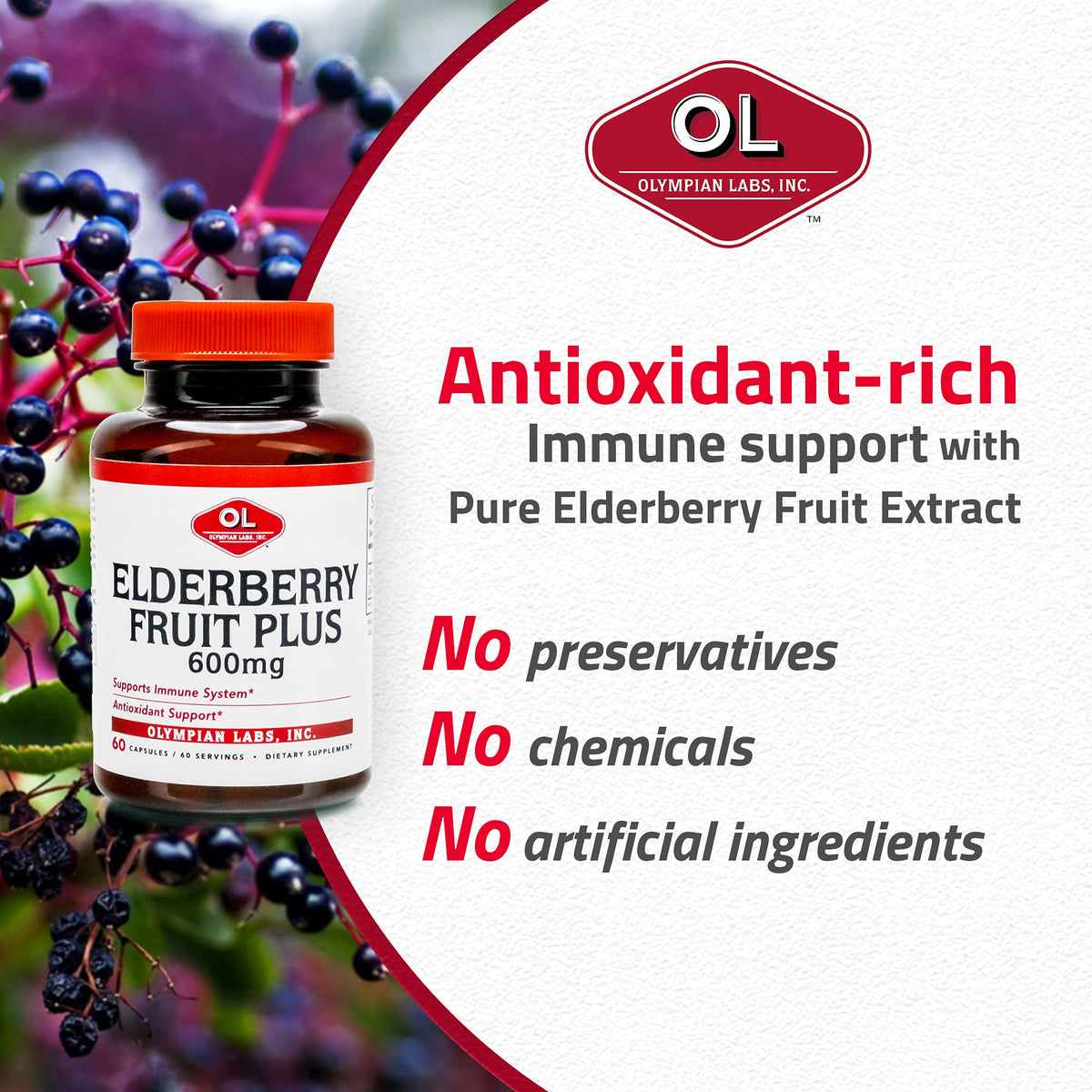 Olympian Labs Elderberry Fruit Plus Immune Support - 60 Capsules - image 5