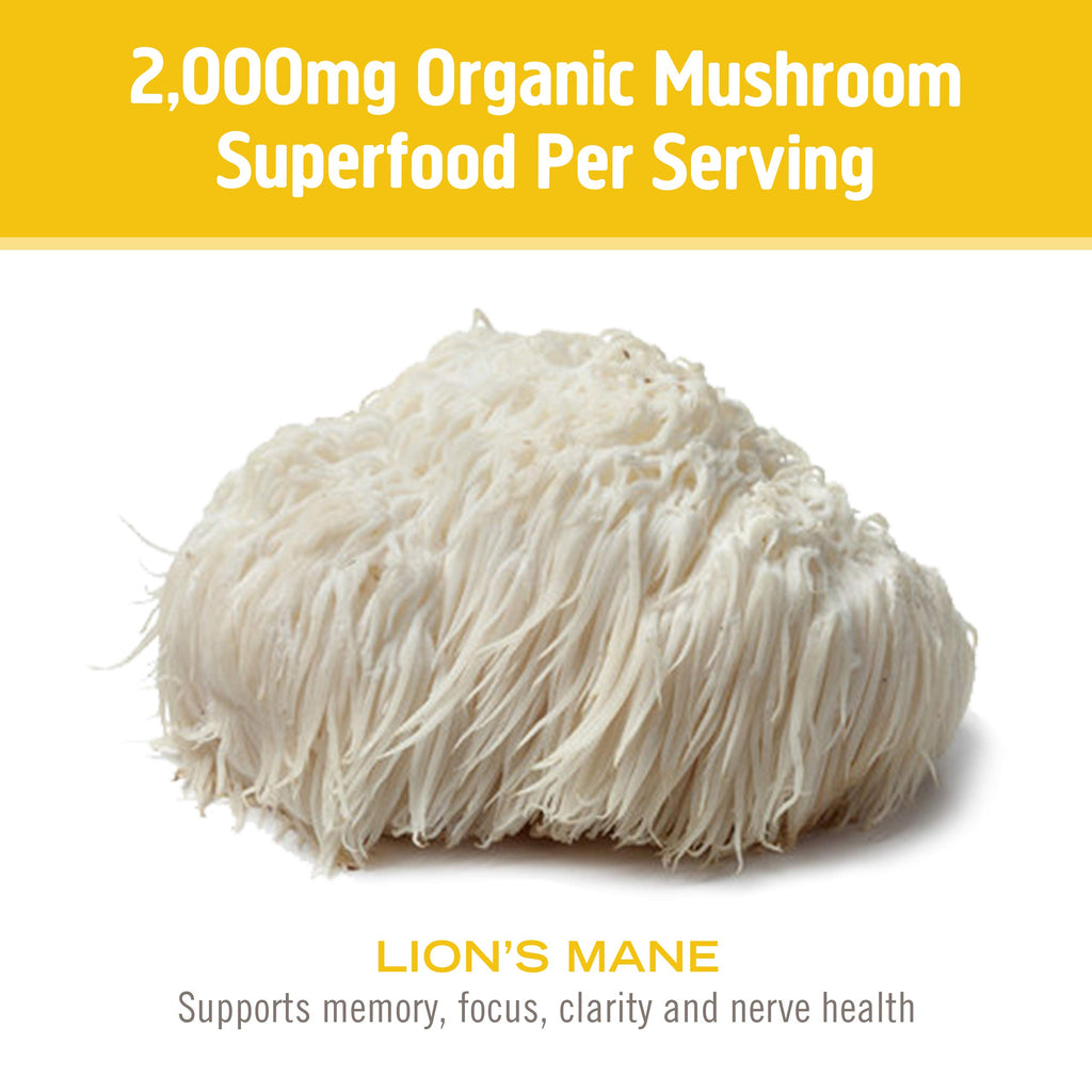 OM Mushroom Superfood Lion's Mane Powder - 100g - image 6