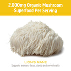 OM Mushroom Superfood Lion's Mane Powder - 100g - image 6