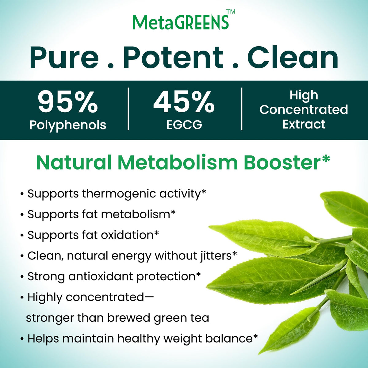 Organic Veda Green Tea Extract Matcha Moringa Capsules - 60 Count - image 5