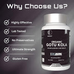 Heroot Gotu Kola Capsules 400mg - 60 Capsules - image 7