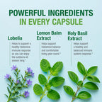 Bell Histamine Balance - 60 Vegetarian Capsules - image 4