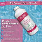 Buried Treasure Fulvic Mineral Complex Liquid - 33 Fl Oz - image 3