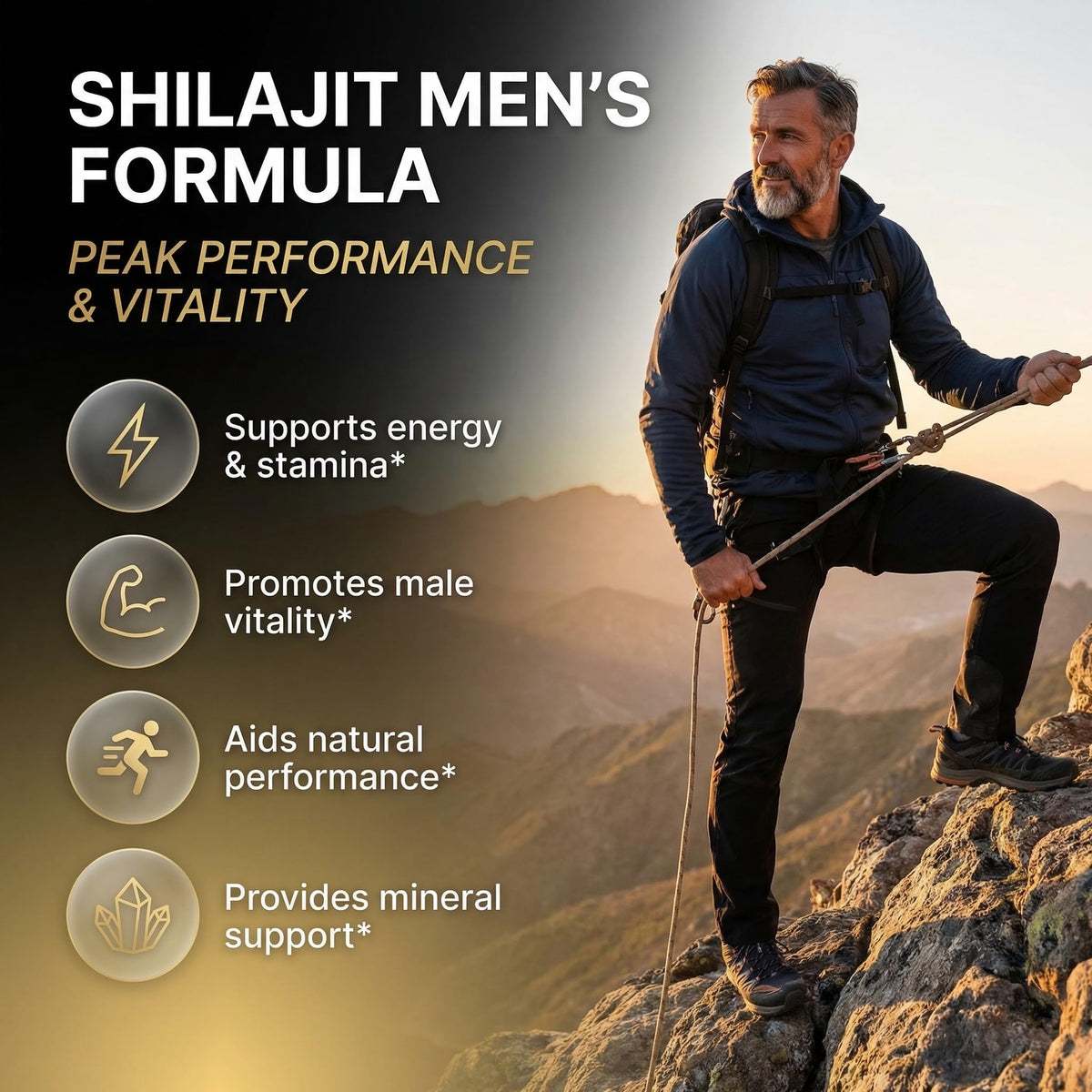 Clean Nutraceuticals Shilajit Supplement with Tongkat Ali - 90 Capsules - image 2