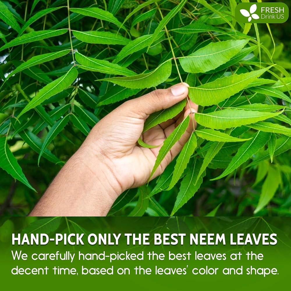 FreshDrinkUS Neem Leaf Powder 100% Natural - 6oz - image 5