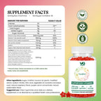 Vita Globe Superfood Gummies for Immune & Antioxidant Support - 60 Gummies - image 2