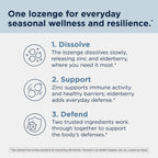 Designs for Health Immuno-Zn Lozenge Immune Support - 90 Lozenges - image 5