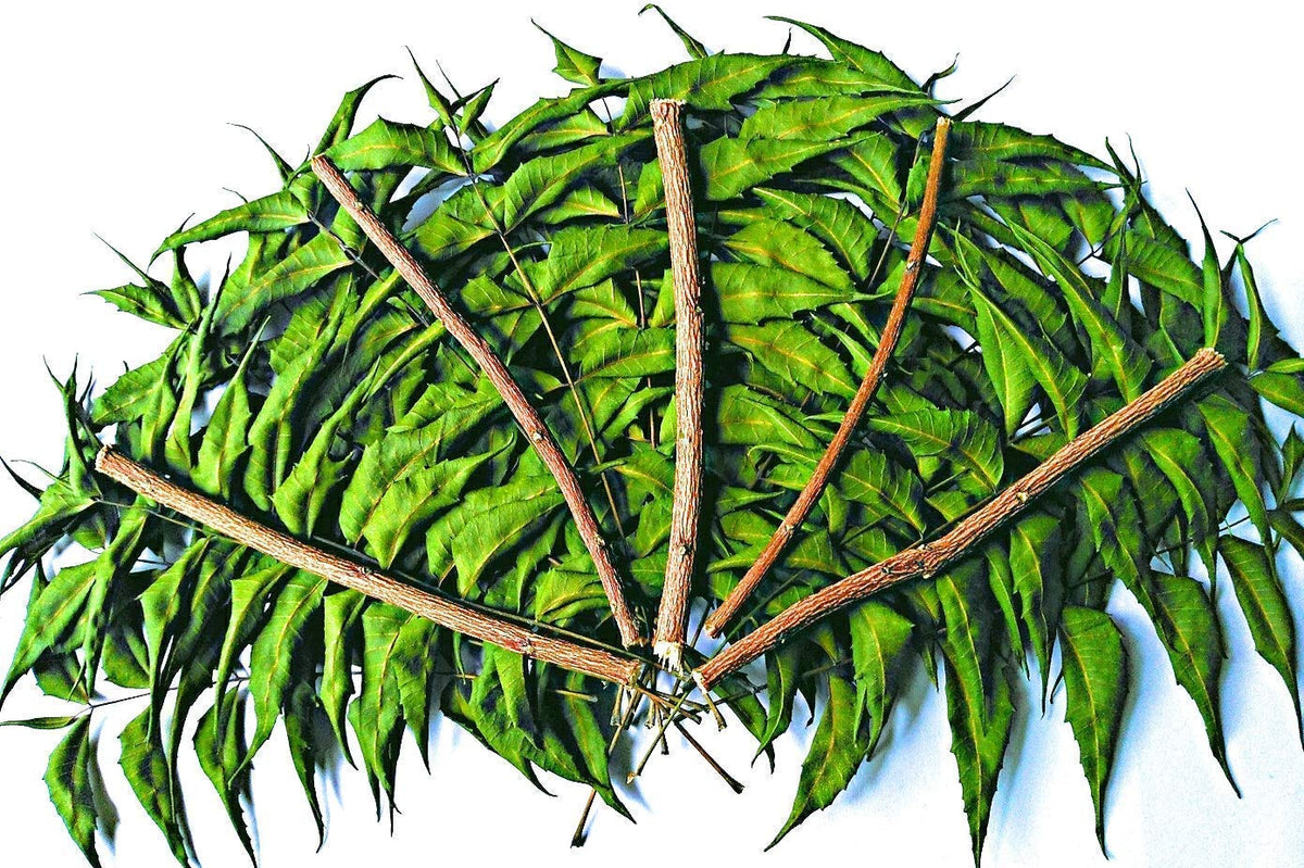 Green World Fresh Neem Leaves and Chewing Sticks - 30 Stems - image 5