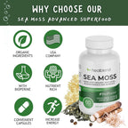 healblend Irish Moss