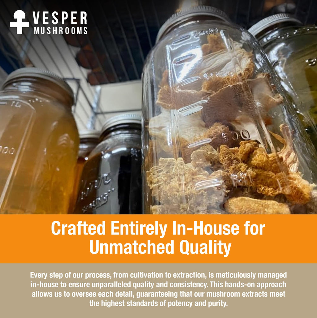 Vesper Mushrooms Liquid Extract - Double Extraction with Wild